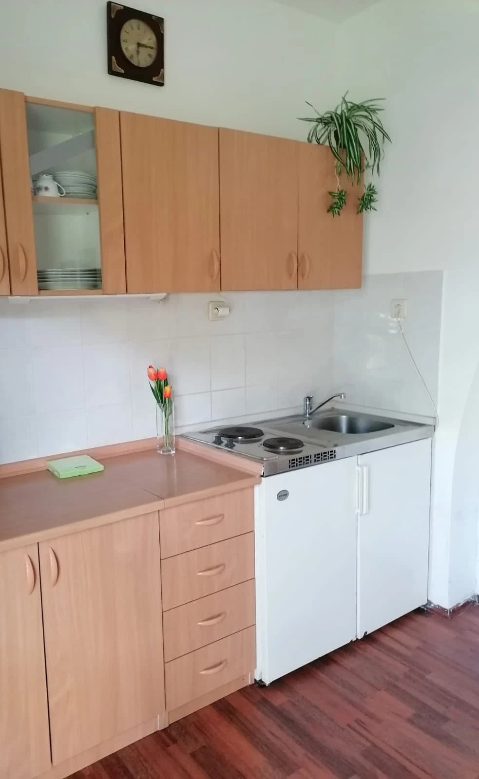 Apartment for 4 people on the ground floor with terrace 3